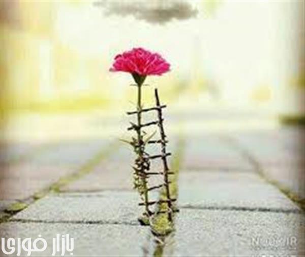  امید به خدا در زندگی  