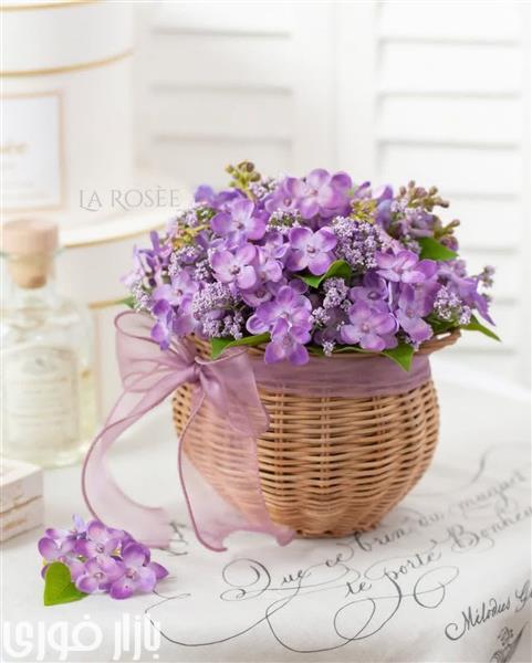  جهان به کسانی می بخشد که ....  